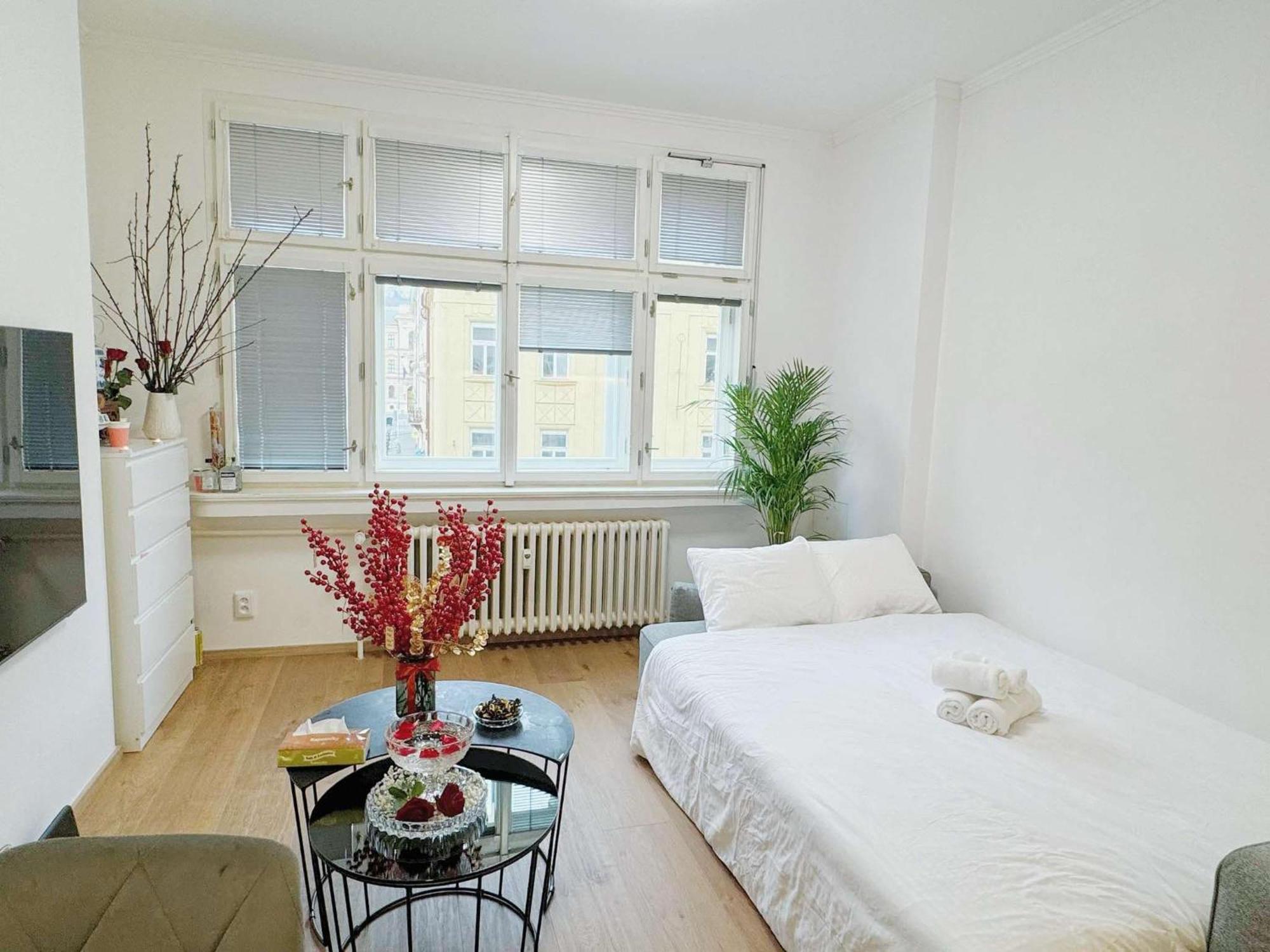 Apartmán Cozy Nest Praha